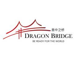 DragonBridge.it